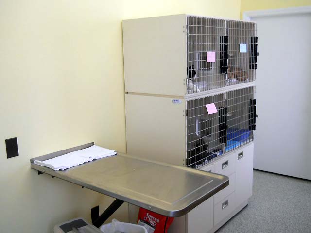Our cats live in a completely
        separate area from the dogs! Just a small step in maintaining a
        stress-free environment for all of our patients!